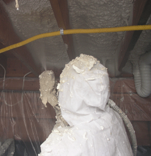 Salinas CA crawl space insulation